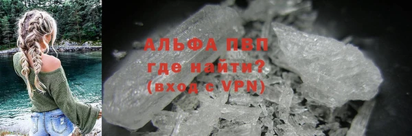 стаф Богданович