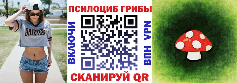 закладки Старица Галлюциногенные грибы мухоморы